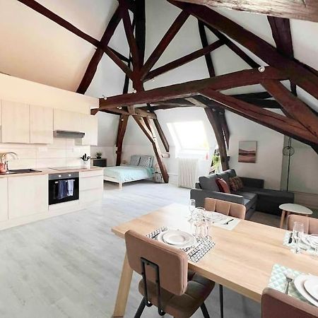 Appartamento Charme Plein Coeur Auxerre - Parking Prive Esterno foto