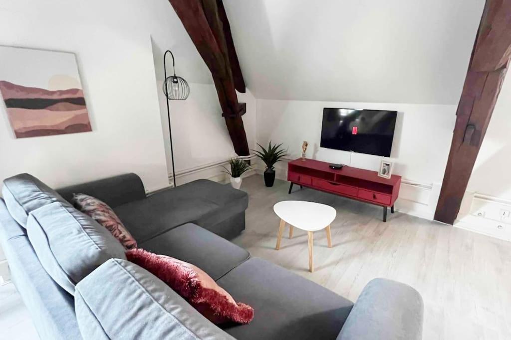 Appartamento Charme Plein Coeur Auxerre - Parking Prive Esterno foto