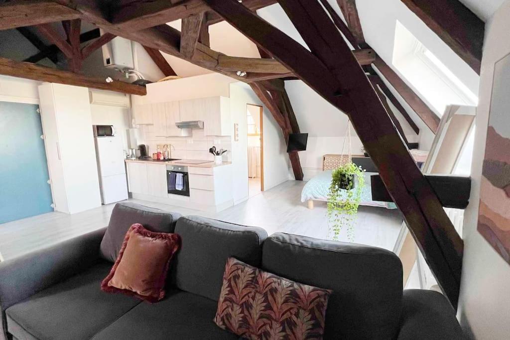 Appartamento Charme Plein Coeur Auxerre - Parking Prive Esterno foto