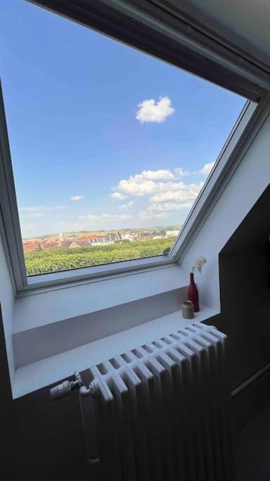Appartamento Charme Plein Coeur Auxerre - Parking Prive Esterno foto